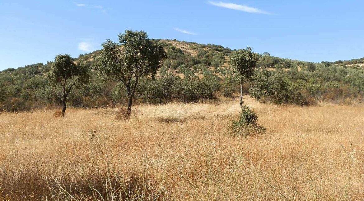 674_fincas-en-venta-07