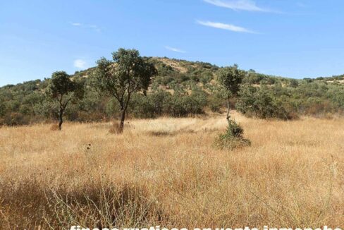 674_fincas-en-venta-07