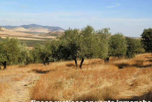 674_fincas-en-venta-10