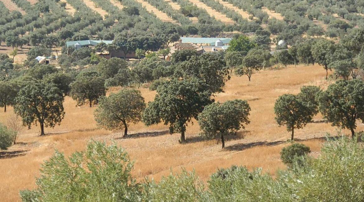 674_fincas-en-venta-12