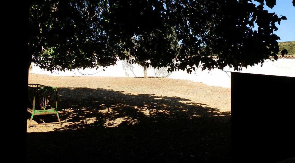674_fincas-en-venta-25
