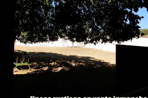 674_fincas-en-venta-25