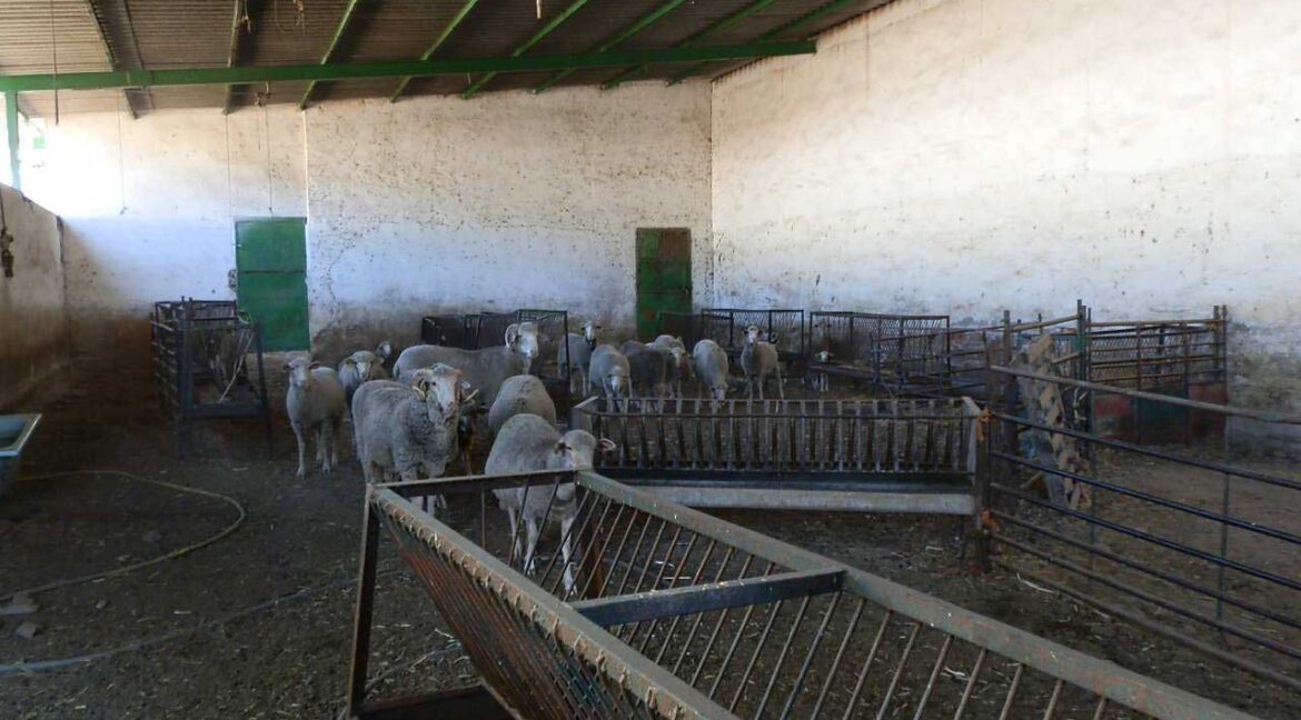 674_fincas-en-venta-26