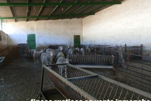 674_fincas-en-venta-26