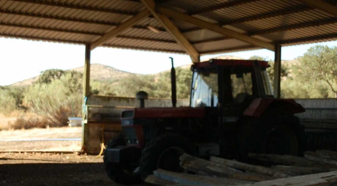 674_fincas-en-venta-28