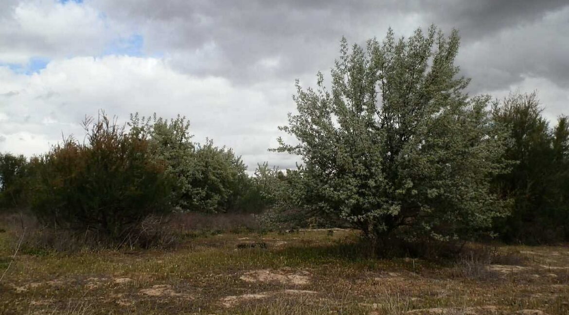 675_fincas-en-venta-11