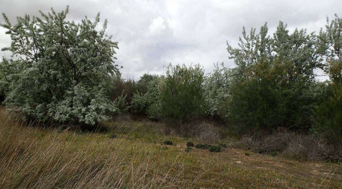 675_fincas-en-venta-12