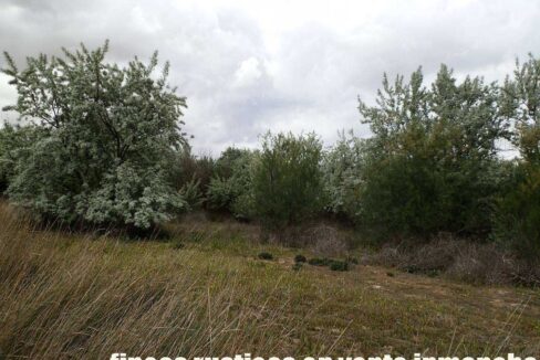 675_fincas-en-venta-12