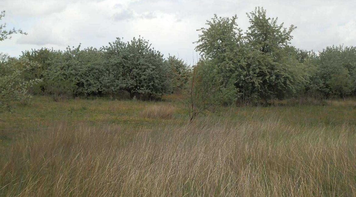 675_fincas-en-venta-13