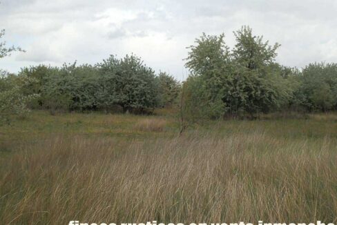 675_fincas-en-venta-13