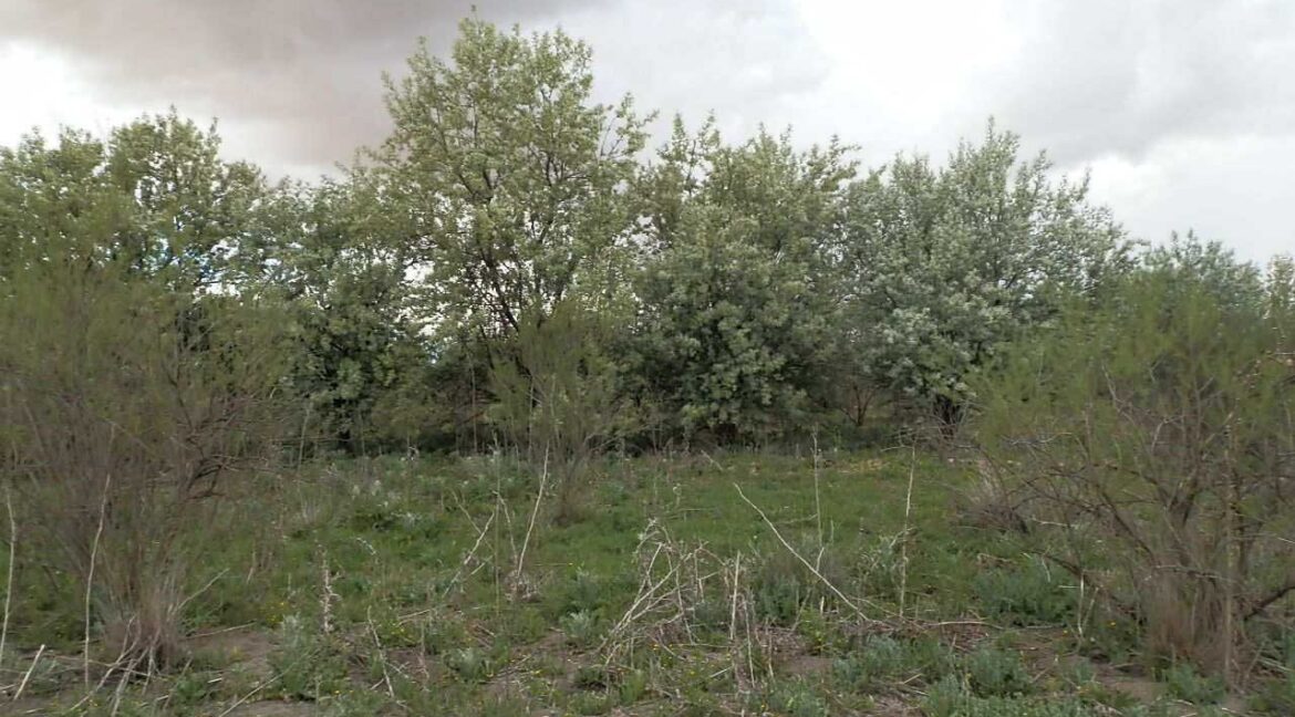 675_fincas-en-venta-16