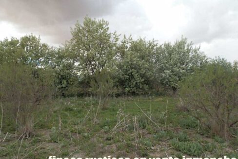 675_fincas-en-venta-16