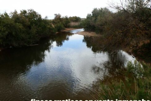 675_fincas-en-venta-17