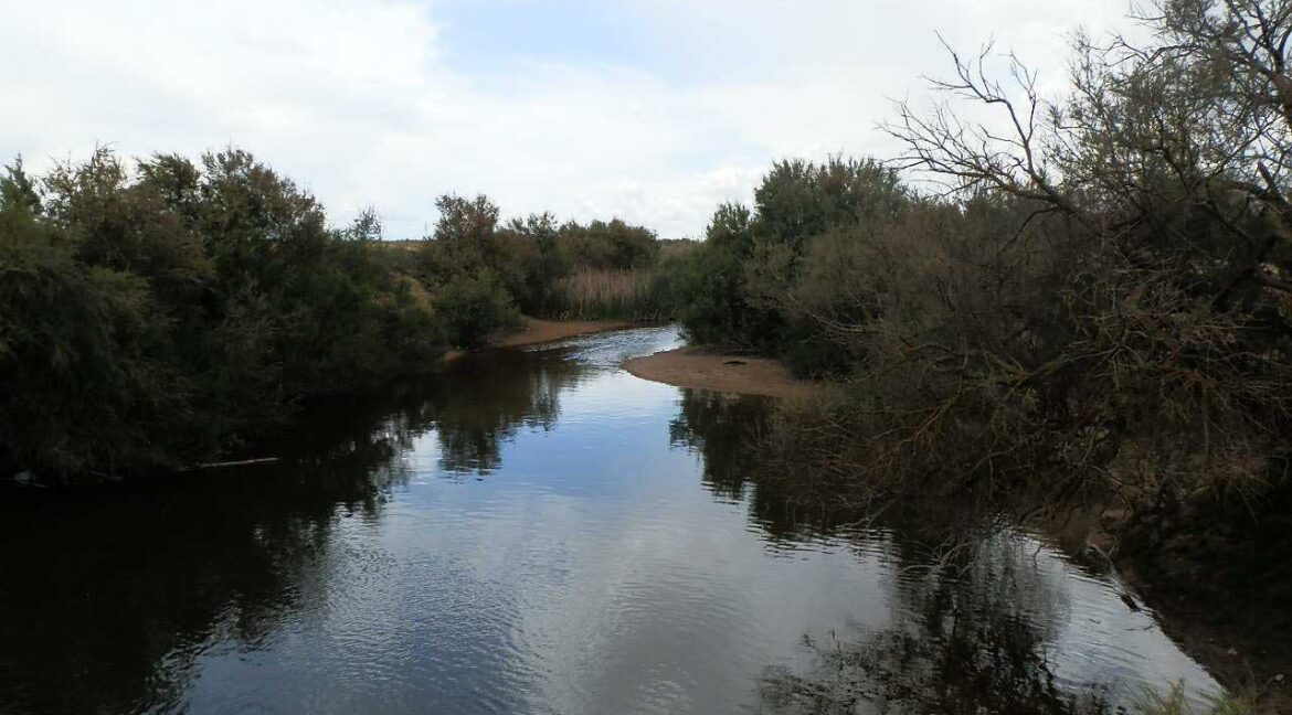 675_fincas-en-venta-19