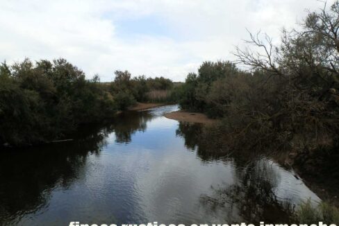 675_fincas-en-venta-19