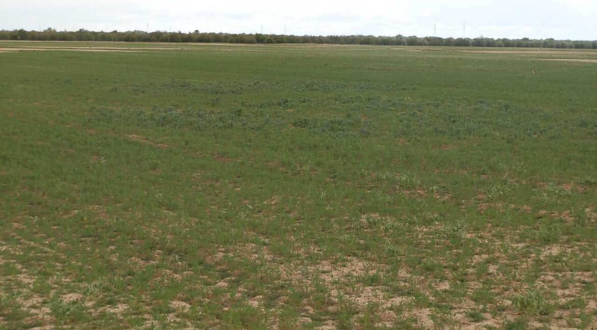 675_fincas-en-venta-20