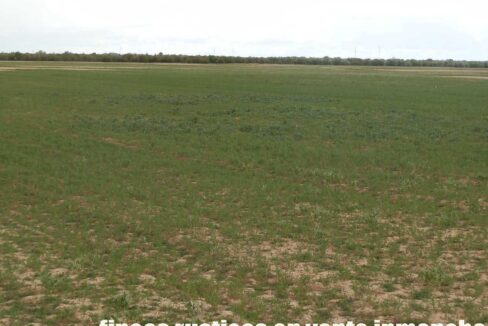 675_fincas-en-venta-20
