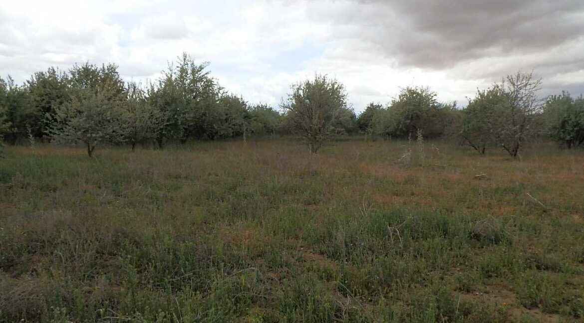 675_fincas-en-venta-21