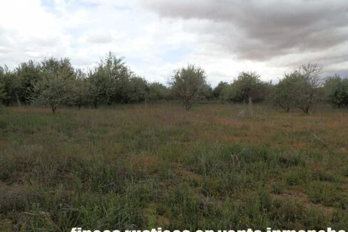 675_fincas-en-venta-21