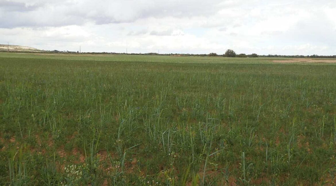 675_fincas-en-venta-30