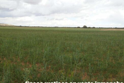 675_fincas-en-venta-30