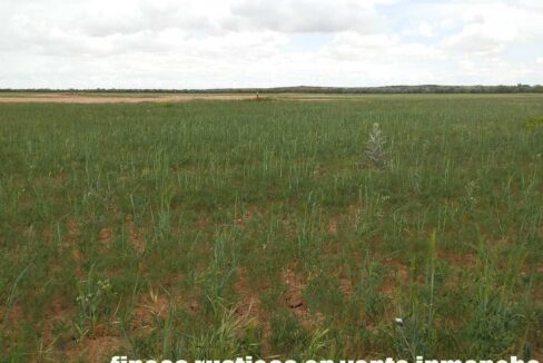 675_fincas-en-venta-4