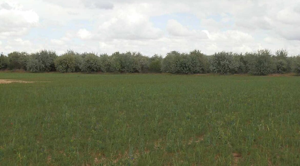 675_fincas-en-venta-6