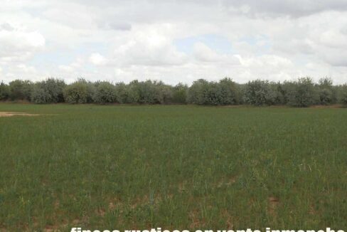 675_fincas-en-venta-6