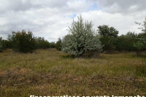 675_fincas-en-venta-9
