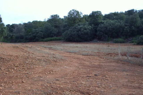 676_fincas-en-venta-12
