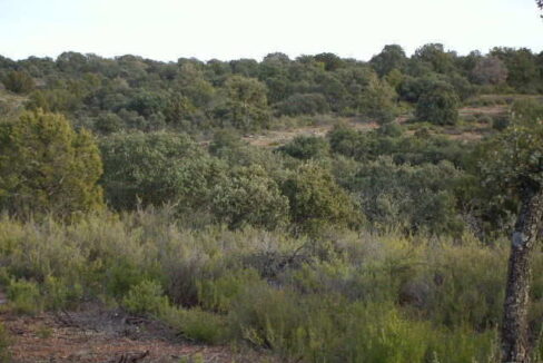 676_fincas-en-venta-14