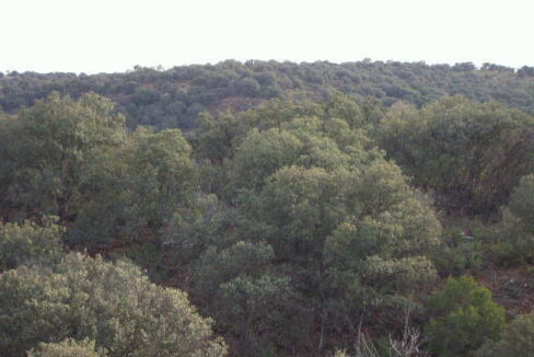 676_fincas-en-venta-16