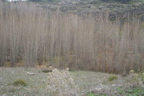 676_fincas-en-venta-34