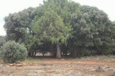 676_fincas-en-venta-36