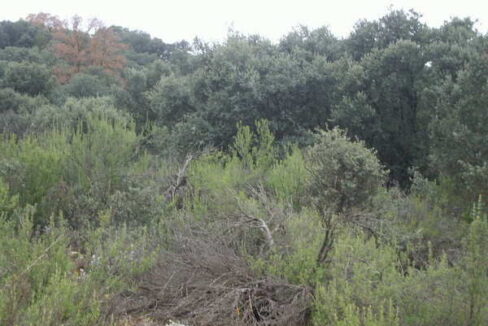 676_fincas-en-venta-39