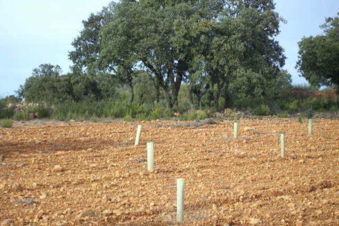 676_fincas-en-venta-7