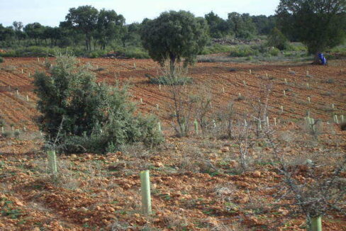 676_fincas-en-venta-9