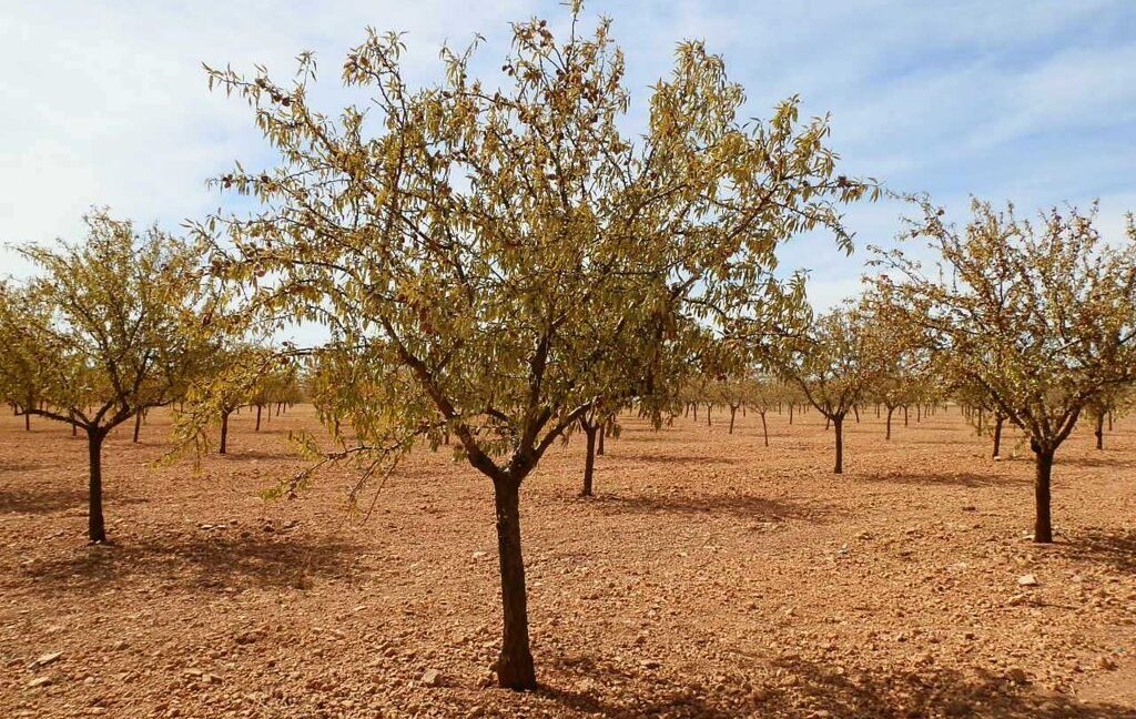 678_fincas-en-venta-048
