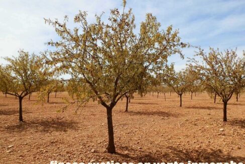 678_fincas-en-venta-048