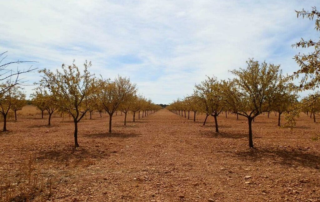 678_fincas-en-venta-049