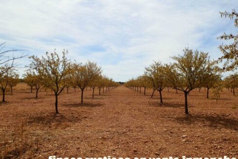 678_fincas-en-venta-049