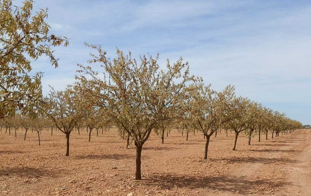 678_fincas-en-venta-050
