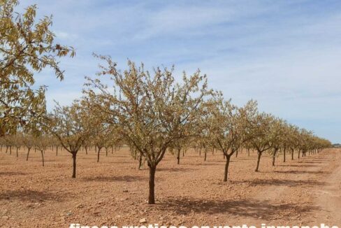 678_fincas-en-venta-050