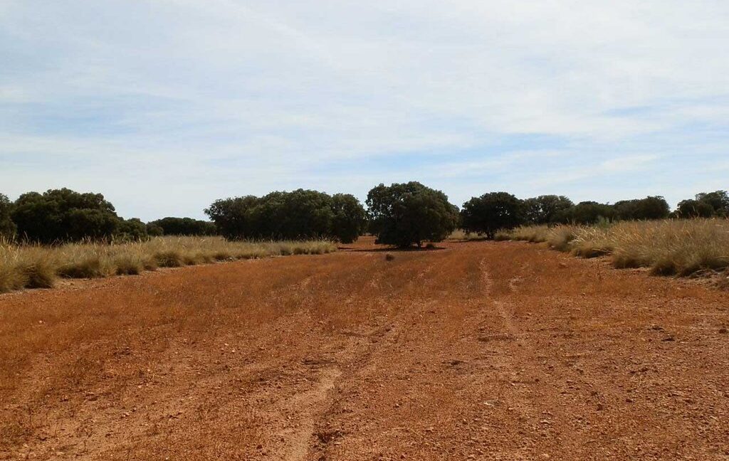 678_fincas-en-venta-054