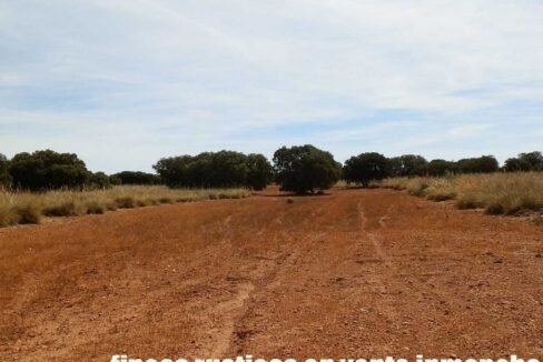678_fincas-en-venta-054
