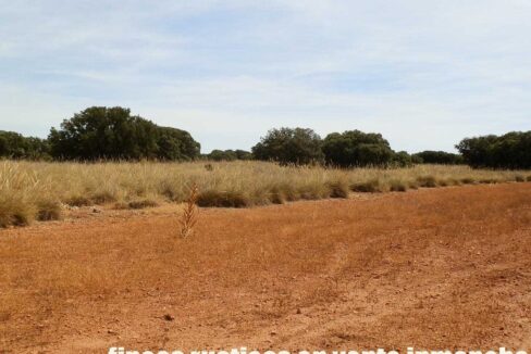 678_fincas-en-venta-055