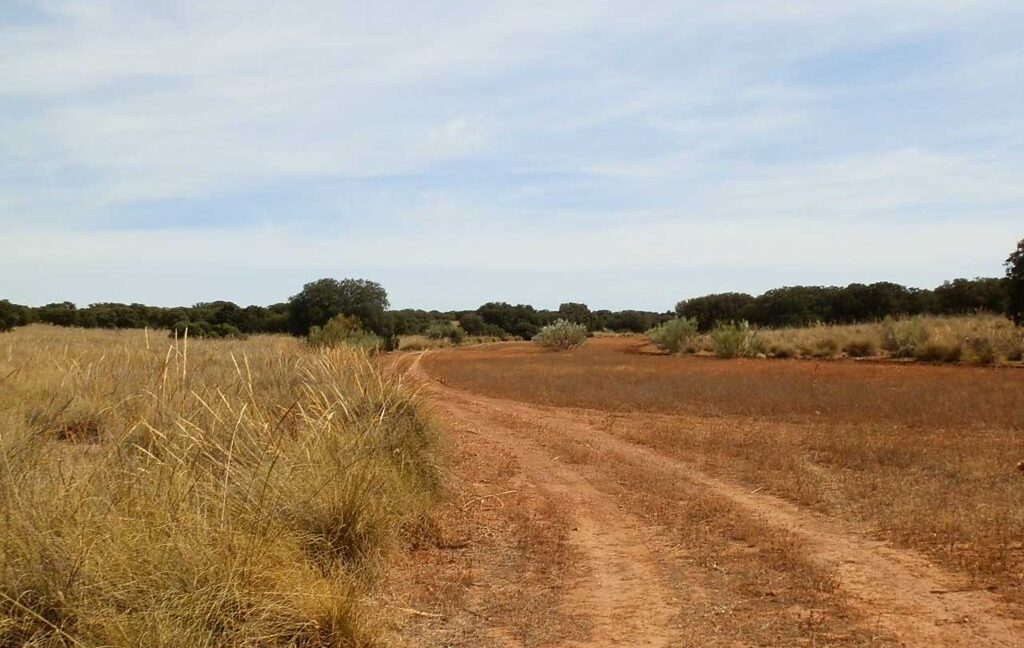 678_fincas-en-venta-057