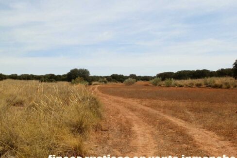 678_fincas-en-venta-057