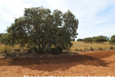 678_fincas-en-venta-058