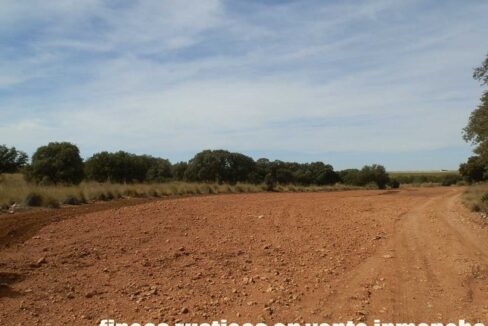 678_fincas-en-venta-059